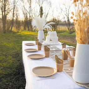 SET PIATTI
